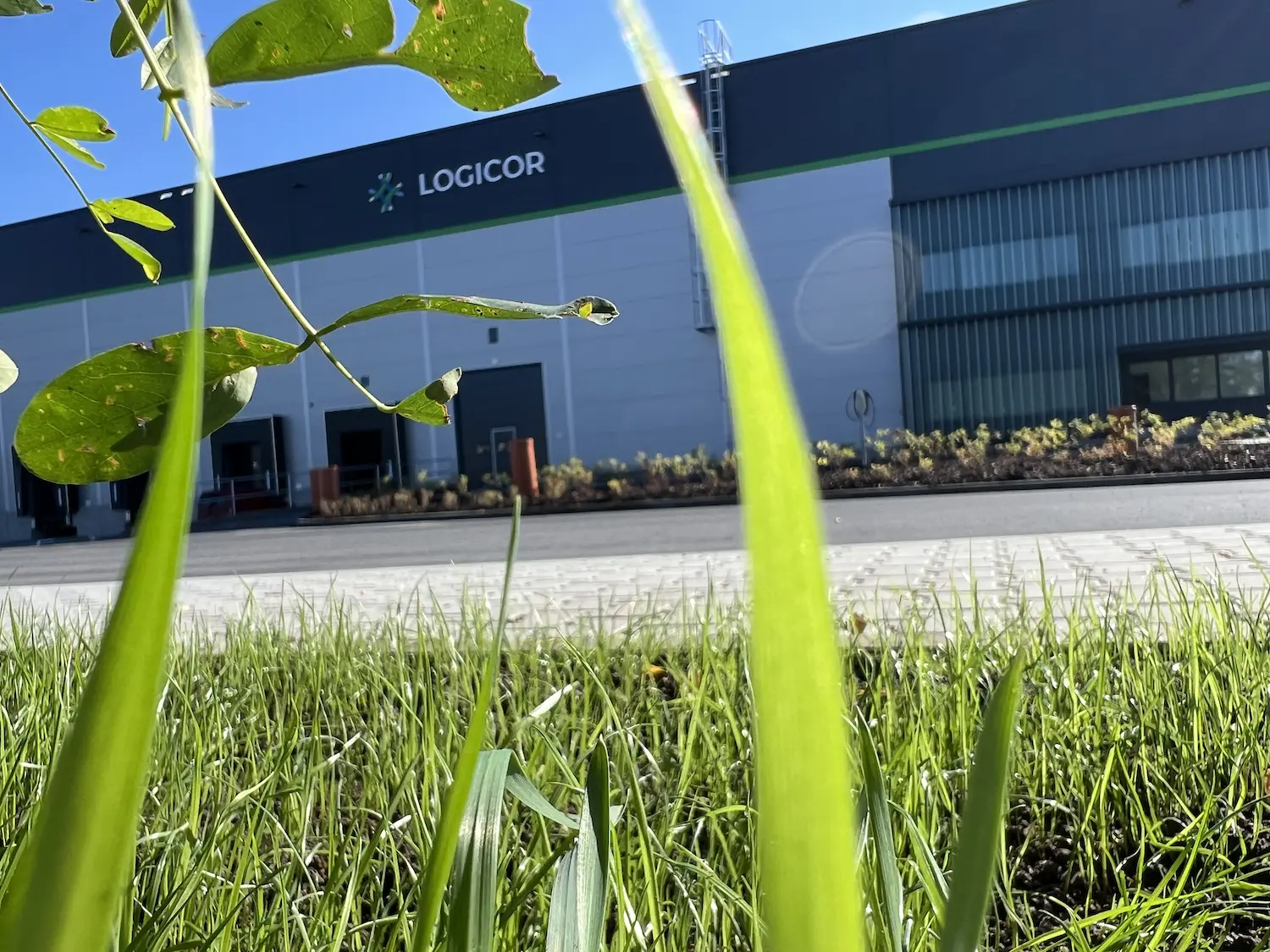 V Logicor Průmyslová se nelení, a dokonce se i zelení